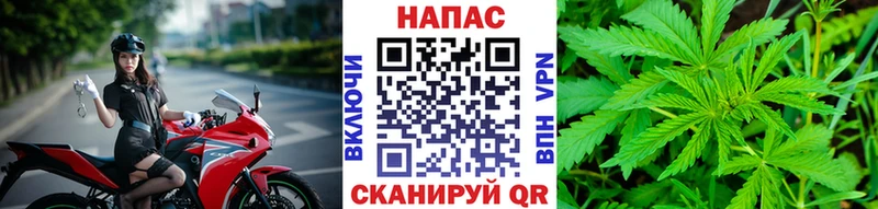 Где купить Магадан Альфа ПВП МЕТАДОН АМФ Марихуана ГАШ